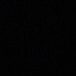 Meet your Posher, Jordy